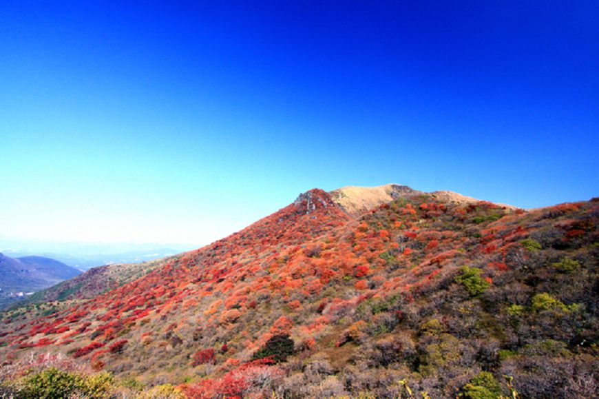 12.大分县九重山(或称九重连山(12月上旬至中旬)